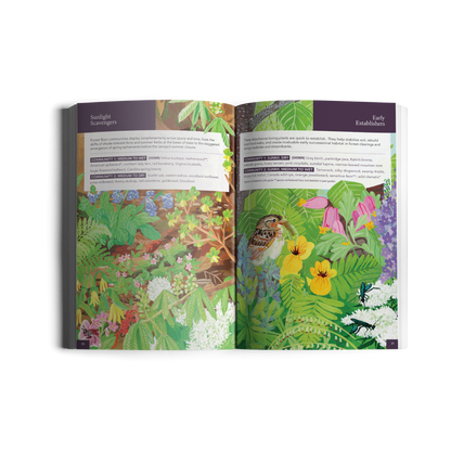 Gardening for Biodiversity: Native Plants for the Northeast