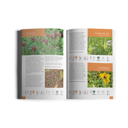 Gardening for Biodiversity: Native Plants for the Northeast