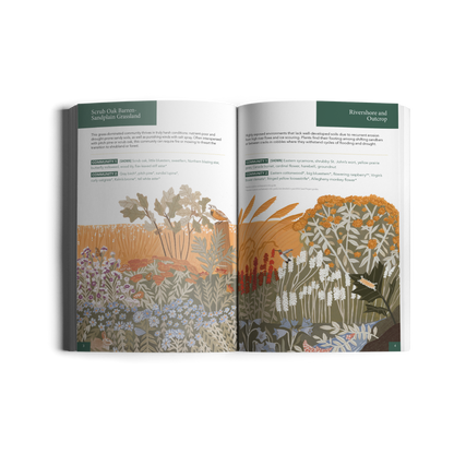 Planting for Climate Resilience in Northeast Landscapes: A Wild Seed Project Guide