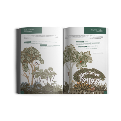 Planting for Climate Resilience in Northeast Landscapes: A Wild Seed Project Guide