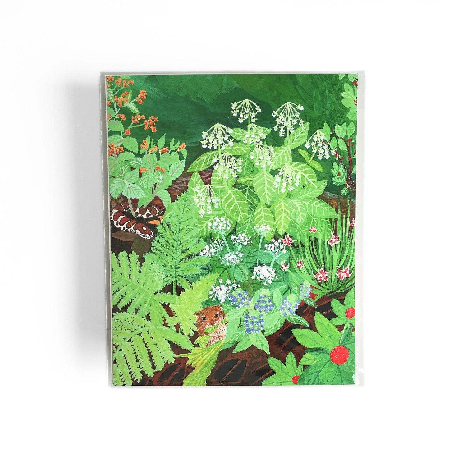 Herbivore Resistors Print