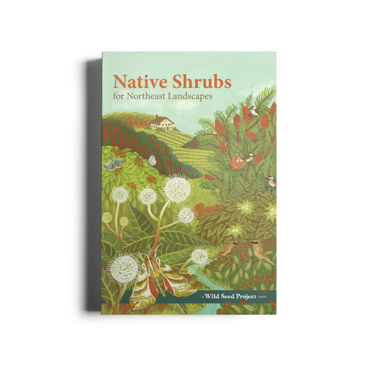 Native Shrubs for Northeast Landscapes: A Wild Seed Project Guide
