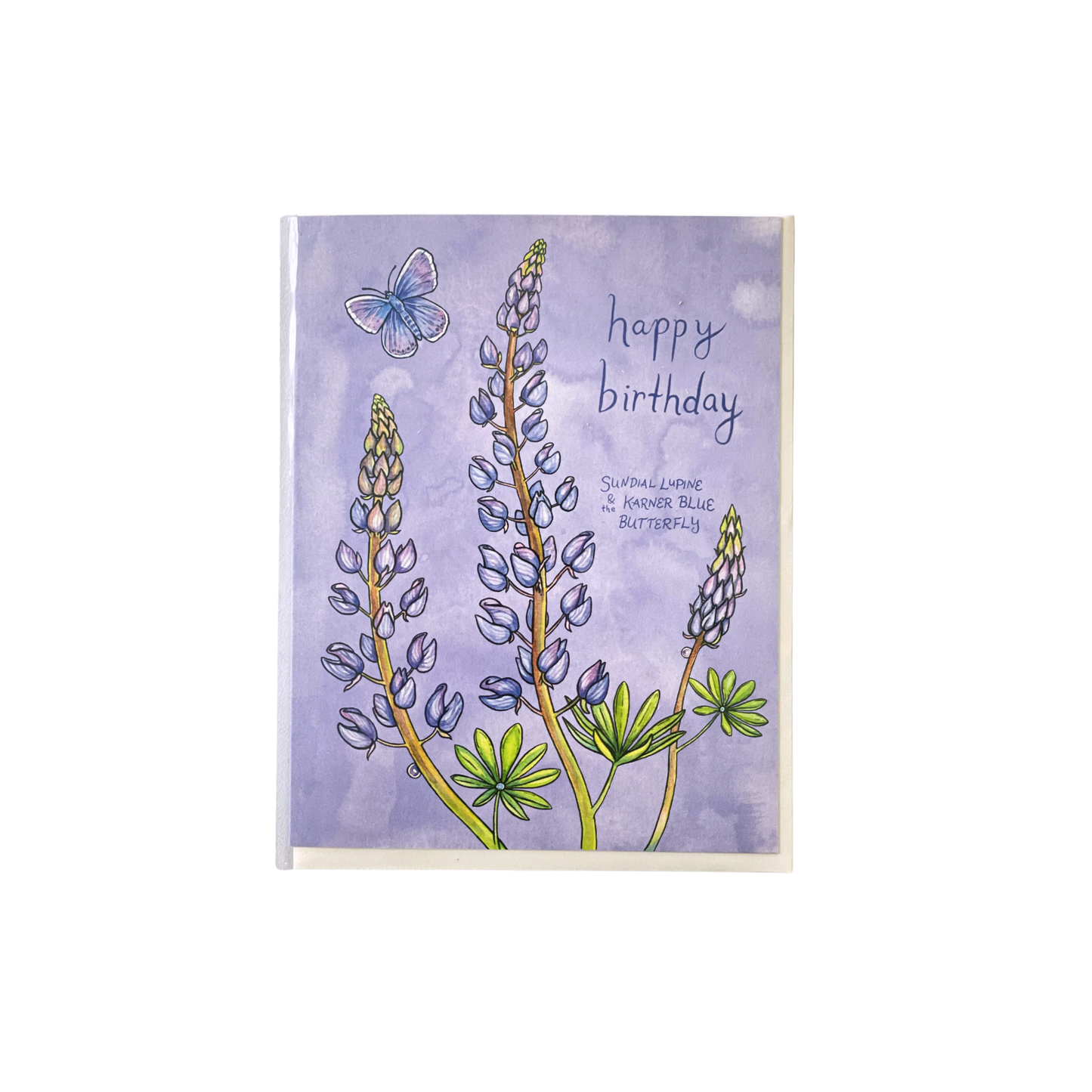 Sundial Lupine Birthday Greeting Card