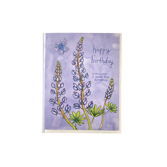 Sundial Lupine Birthday Greeting Card