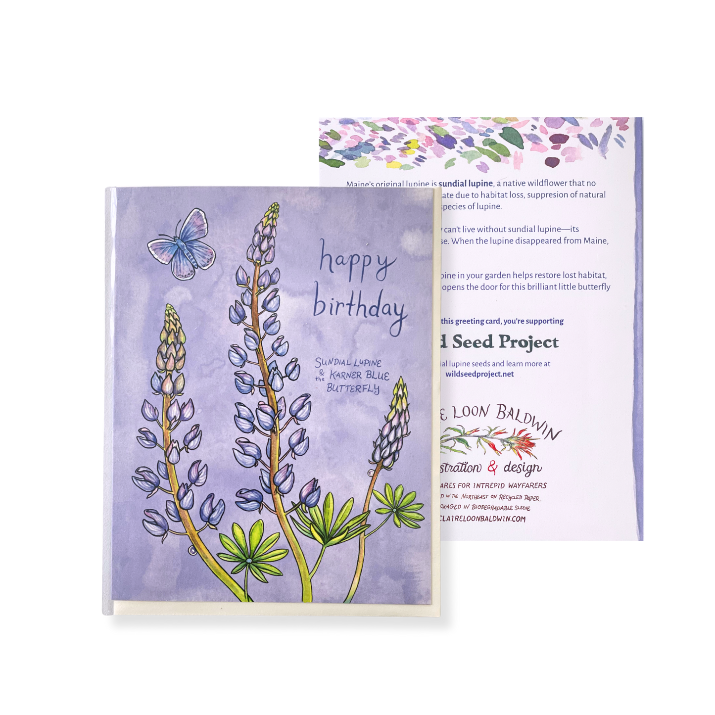 Sundial Lupine Birthday Greeting Card