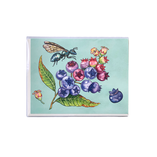 Blueberries and Bee Greeting Card