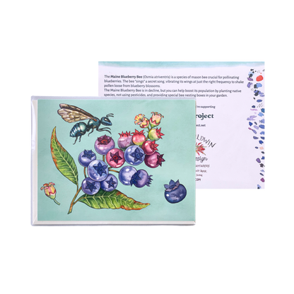 Blueberries and Bee Greeting Card