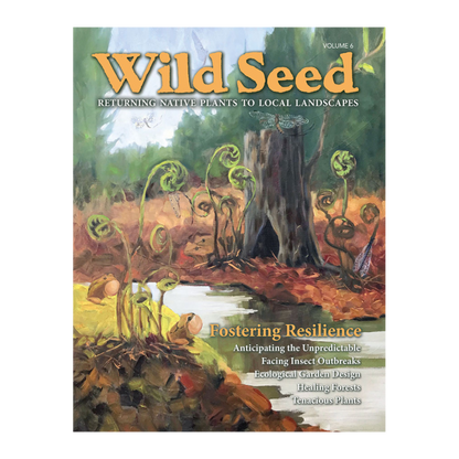 Wild Seed Magazine, Volume 6, 2020