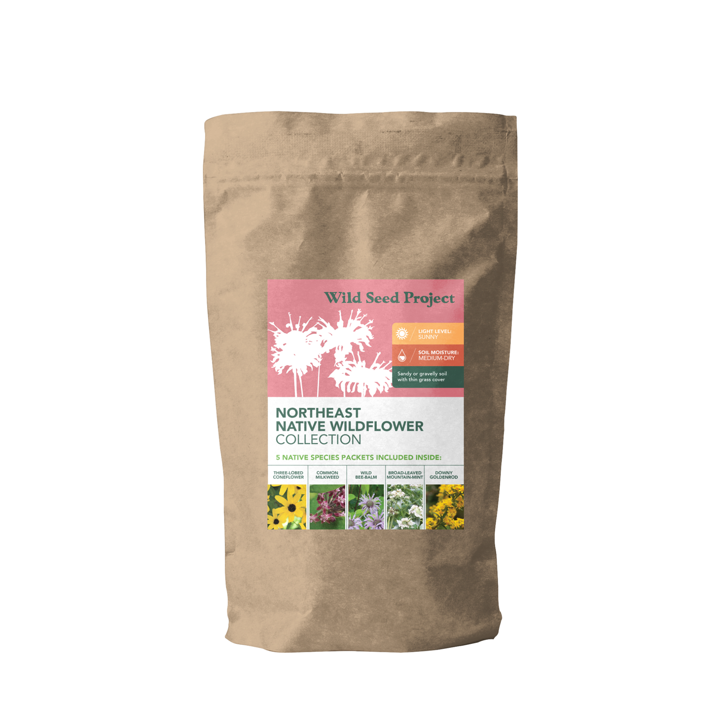 Northeast Native Wildflower Collection