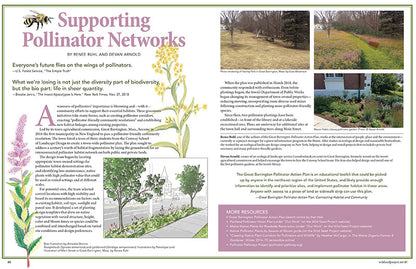 Wild Seed magazine Volume 6 2020: Supporting Pollinator Networks